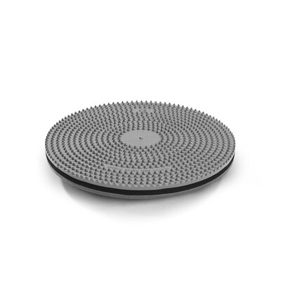 123106155: DISK (66753030)