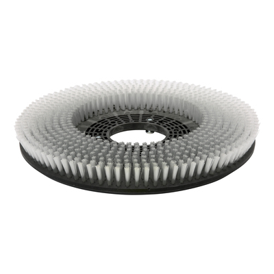 123405631: Schuurborstel Tempo Run50 D.500 PPL 0.6
(66823030)