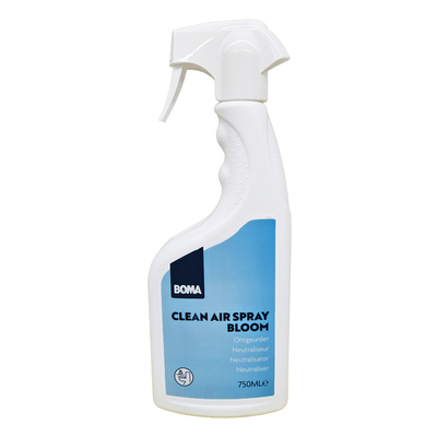Clean Air Spray Bloom 750ml