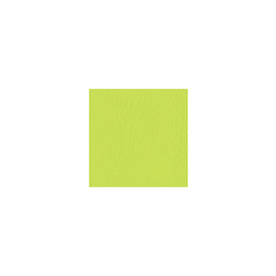 Tork Servet Lime 2l 4-V 33x33cm 10x200st