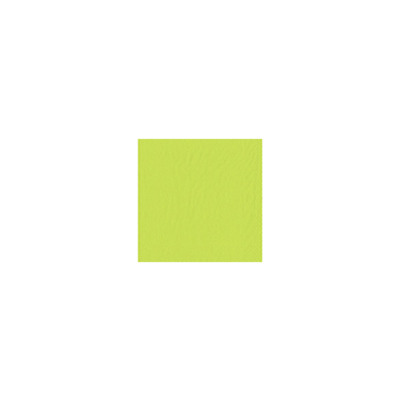 Cocktail Napkin Tissue Lime 2-ply 4-Fold 24x24cm 2400pcs