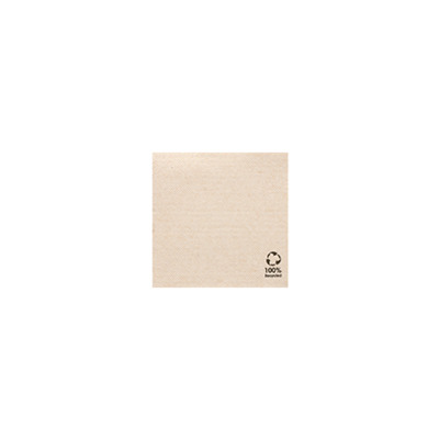Serviettes 20 x 20 cm NATUR, 2